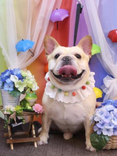 20230630こてつくん